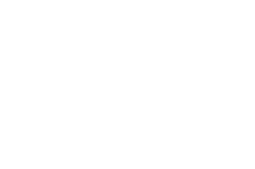 Visalmex