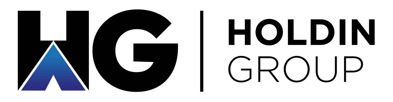 Holdin Group Logo